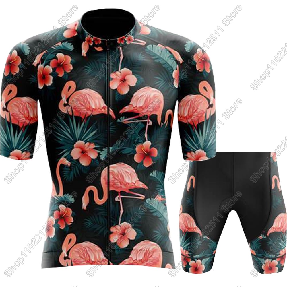 Maillot de cyclisme Flamingo p - Summer Clothing Men 2025 avis et prix